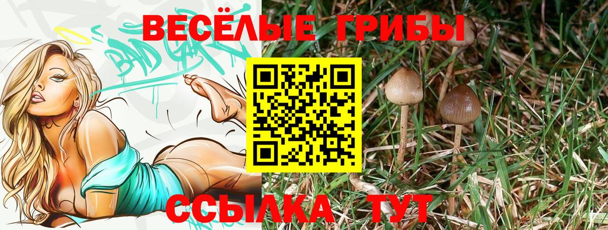 Галлюциногенные грибы Magic Shrooms Клин