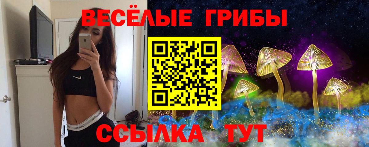 Клин  магазин  наркотиков  Вход с VPN  Псилоцибиновые грибы Psilocybine cubensis  Галлюциногенные грибы ЛСД 